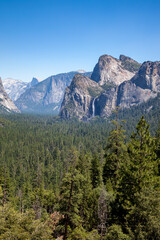 Fototapeta na wymiar Forested valley in Yosemite on a Summer's Day