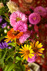 Colorful bouquet of garden flowers in the room