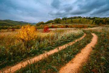 Fototapeta na wymiar Rural road through an autumn field landscape