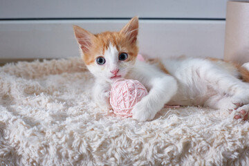 the kitten is lying with a ball of pink threads