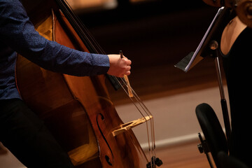 A double bass player playing with a bow during a chamber music live performance