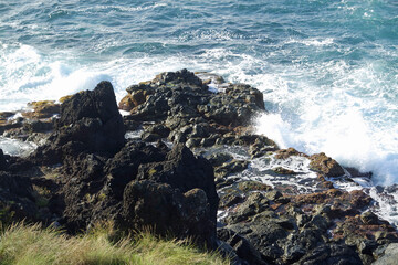 rough wild nord coast of sao miguel