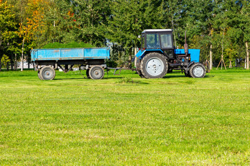 Tractor with a trailer loaded with cut grass on the lawn in the park. Field work