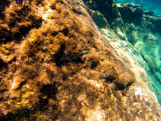Underwater ship in Milos, Greece