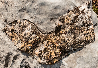 Possible fossils in karst rocks at the famous Loser summit, Altaussee, Steiermark, Austria