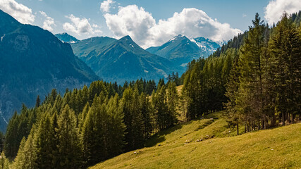 Fototapeta premium Beautiful alpine summer view at the famous Schareck summit, Salzburg, Kaernten, Austria