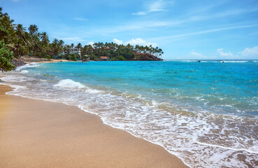 Fototapeta na wymiar Scenic empty tropical sandy beach, Sri Lanka.