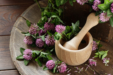 Red clover blossoms on wooden rustic background, herbal plant is used as immune, antioxidant, in cosmetics, closeup, naturopathy and natural medicine concept - obrazy, fototapety, plakaty