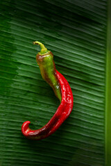 Red chili on a banana leaf 