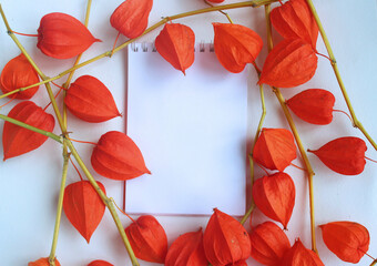 Autumn composition. Notepad for notes and branches of orange physalis.