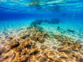 Red Sea bottom covered with golden sand and rocks near coast of Egypt.