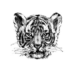 New Year set 2022_symbol_tiger 01_jpg