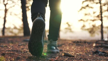 Hiking in the forest. Tourist shoes in the forest park. People travel in nature. Summer woman legs in nature park. Adventure tourist on vacation. Tourist feet in the forest park. Trekking Hiking - Powered by Adobe