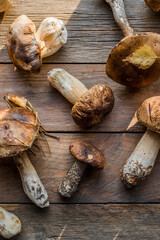 Forest edible mushrooms close up. Ceps boletus edulis over wooden background, rustic table.