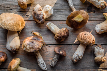 Forest edible mushrooms close up. Ceps boletus edulis over wooden background, rustic table.