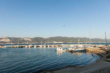 Fototapeta na wymiar sea bay with boats and a seagull in the sky
