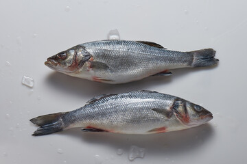 Fresh raw fish seabass on white background