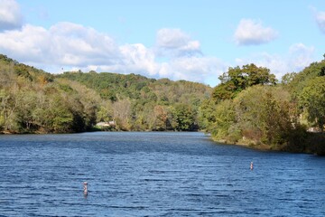 Fototapeta na wymiar Autumn trees at the lake 