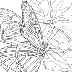 coloring exotic butterfly sits on a tropical flower