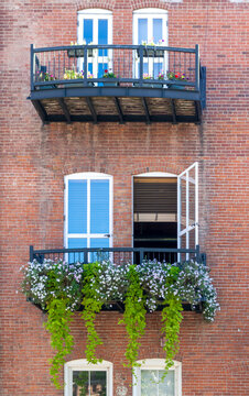Flowers window fa&ccedil;ade in Downtown Denver, Colorado
