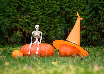 Toy skeleton sitting on large orange pumpkin with smaller pumpkin dressed in Halloween hat. Autumn holiday outdoor concept. © Ekaterina Asaturova