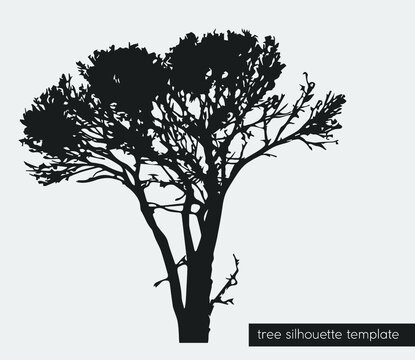 Ready-made tree silhouette template. eps10