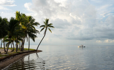 Fototapeta na wymiar Calm waters with a boat and palm trees