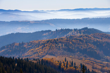 forest in autumn landscape. Romanian Carpathians