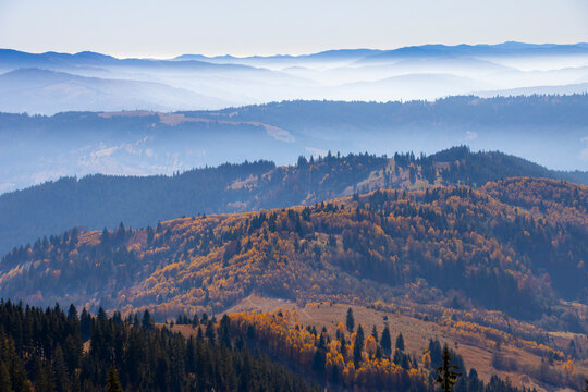 forest in autumn landscape. Romanian Carpathians © Ioan Panaite