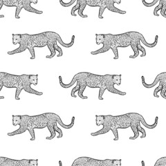 Seamless pattern with leopard animal.