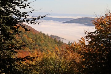 Blick von der Locheichenroute auf den Nationalpark Kellerwald im Herbst