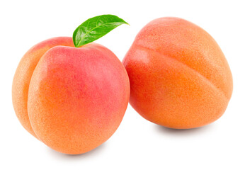 apricot fruit with green leaf isolated on white background. clipping path