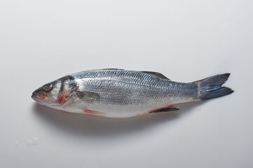 Fresh raw fish seabass on white background