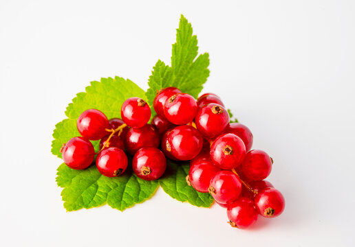 Red currant berries with green leaves isolated on white background