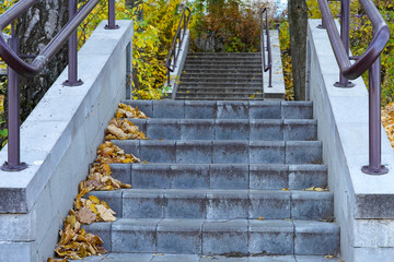 Photo of a gray staircase with steps and yellow fallen maple leaves in a park in the city on the street