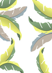 Colorful decorative oak leaves on a white background, falling foliage. Creative template for your design. Vector