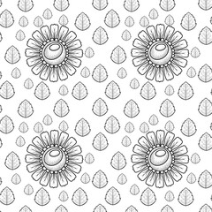 Monochrome illustration, decorative daisies with leaves, seamless pattern on a white background