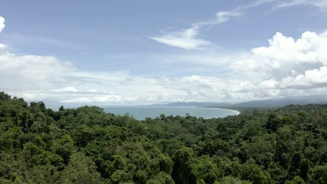Osa Peninsula,  Drone shot over the jungle with the beach in the background 