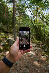 Hand holding a smartphone and photographing the trail in the green forest