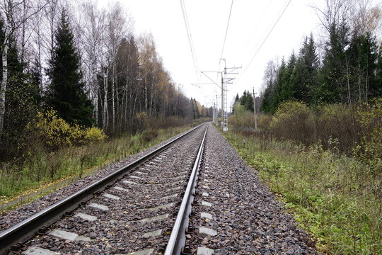 Railroad track in autumn