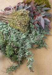 Naklejka premium Frischer Eukalyptus in rot und grün und frische Mimose und Beeren für Kranz binden
