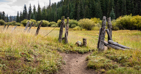 Hiking Mount Baldy Arizona Mountains