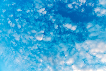 small cirrus clouds scattered by the wind across the blue sky as a natural background