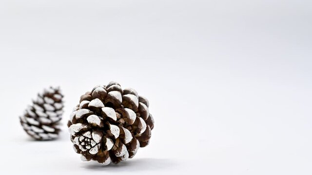 Winter pine cones appear on white background. Stop motion
