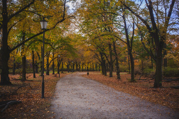 Fototapeta na wymiar Jesień w parku/ Autumn at the park