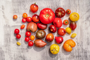 Fototapeta na wymiar fresh tomatoes on the wooden background