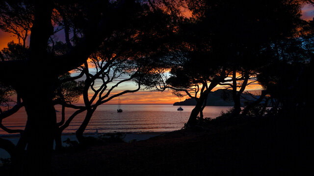 Sonnenaufgang am Cala Agulla Strand, Mallorca