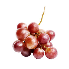 Bright ripe burgundy grapes with dew drops. Fresh fruit on white background