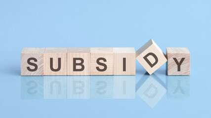 subsidy word is made of wooden building blocks lying on the blue table, concept