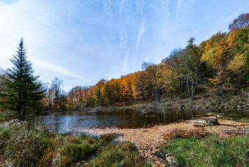 Fototapeta na wymiar Autumn on the beaver lake